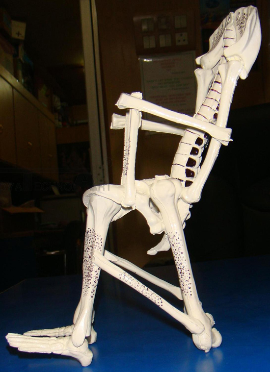 Chair Osteoporesis